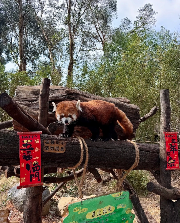 where to take photos Yunnan Wildlife Park where to take photos Yunnan Wildlife Park