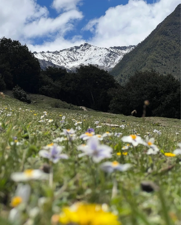Siguniangshan travel tips Siguniangshan travel tips