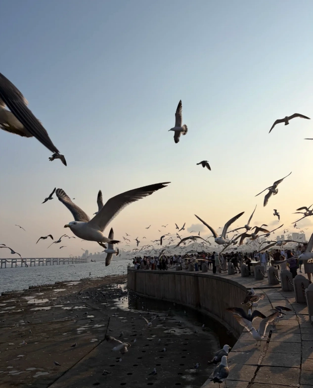 Xinghai Square Photography Spots: Best Angles & Timing for Stunning Shots