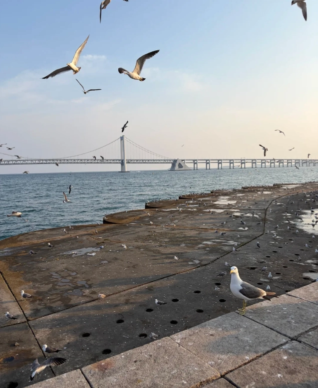 Xinghai Square transportation