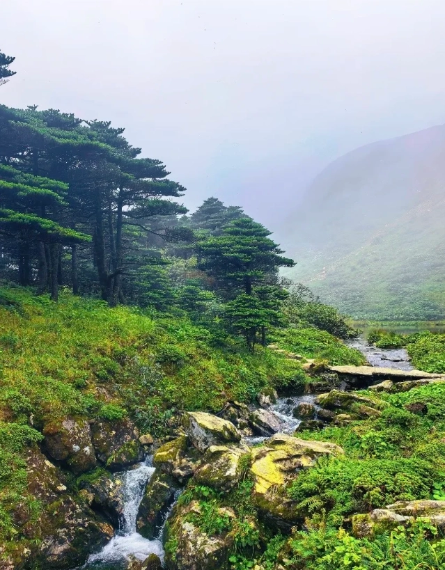 Cangshan weather by month Cangshan weather by month