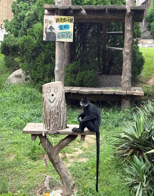 Dalian Forest Zoo opening hours Dalian Forest Zoo opening hours