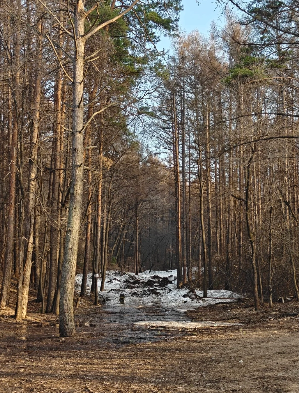 Jingyuetan National Forest Park admission Jingyuetan National Forest Park admission