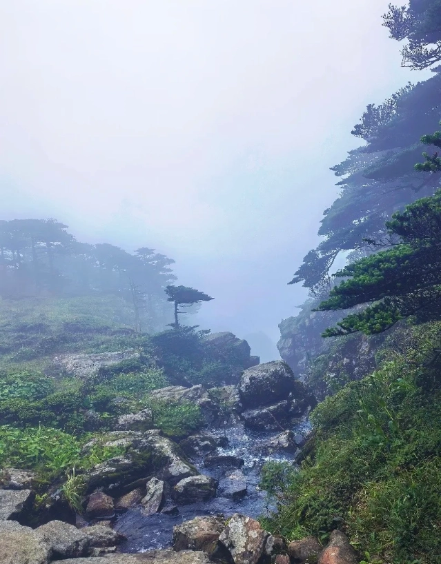 Cangshan hiking seasons Cangshan hiking seasons