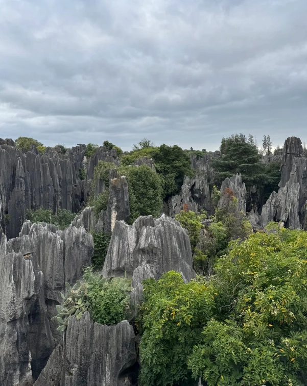 Stone Forest ticket prices Stone Forest ticket prices