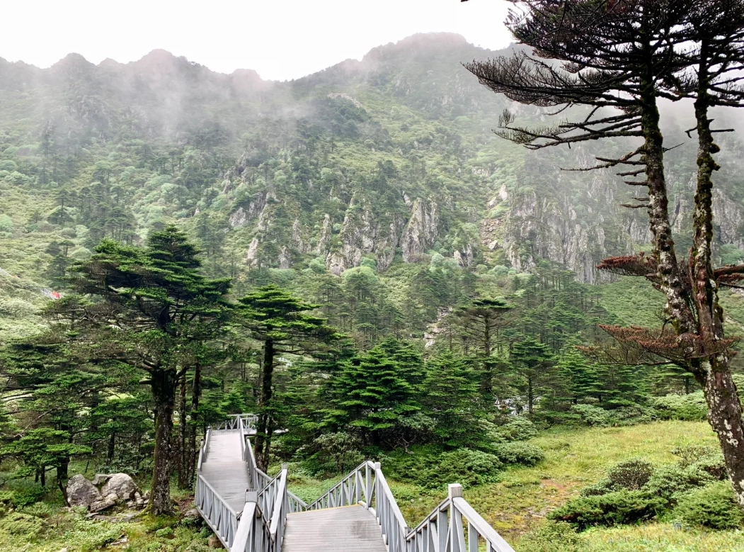 Cangshan Mountain English Guide: Hiking Trails, Tickets & Tips for Foreigners