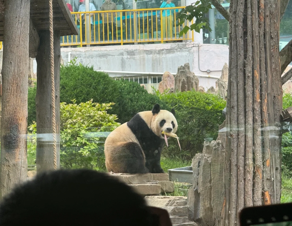 Dalian Forest Zoo tips Dalian Forest Zoo tips
