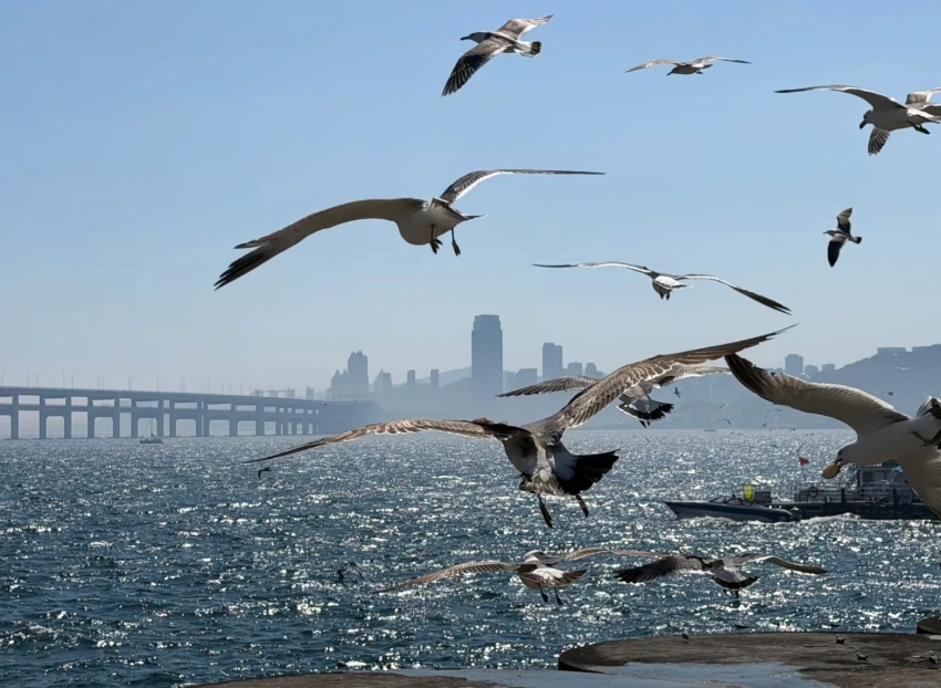 Best Time to Visit Xinghai Square: Avoid Crowds & Capture Magic