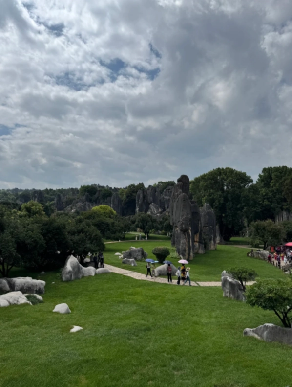stone forest ticket price stone forest ticket price