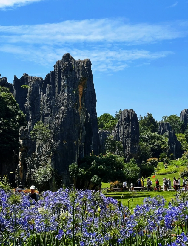 Stone Forest ticket prices