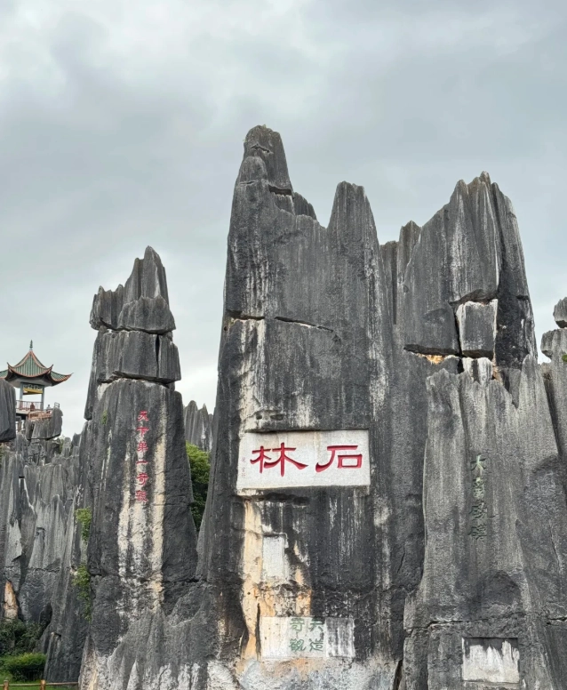 Stone Forest Day Tour: Avoid Crowds & Save Money