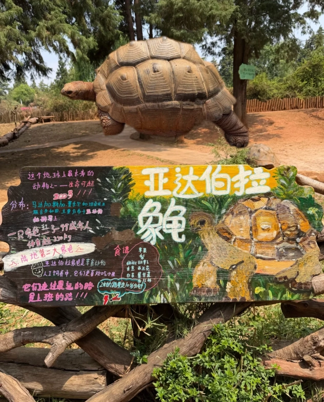 Yunnan Wildlife Park Photography Spots: 5 Best Locations & Tips
