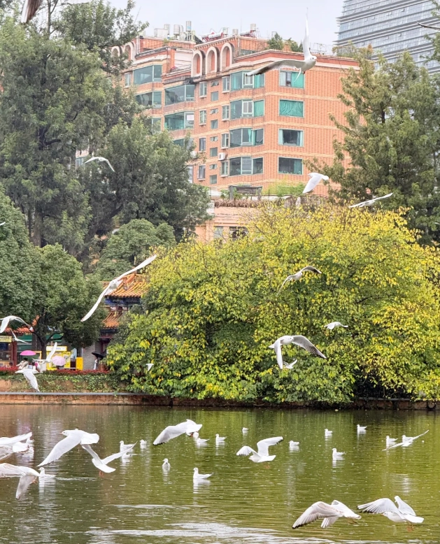 Green Lake Park guide Green Lake Park guide