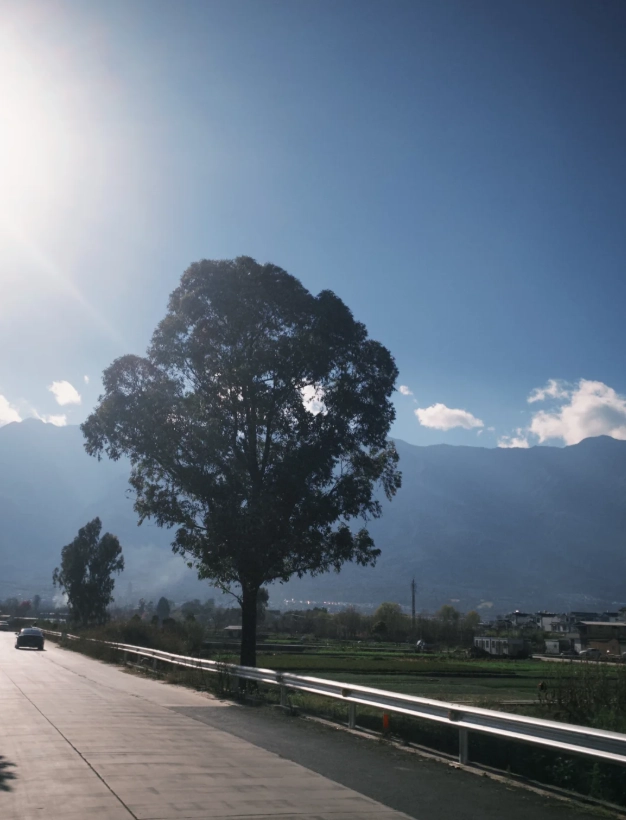 Erhai Lake entrance fee Erhai Lake entrance fee