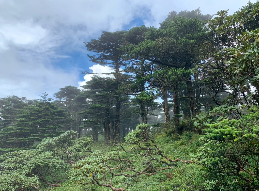 how to visit cangshan mountain how to visit cangshan mountain
