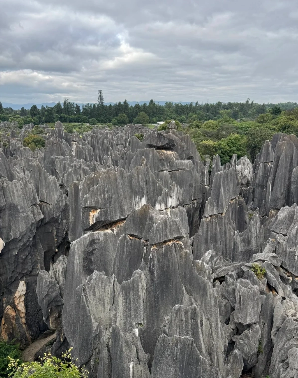 Stone Forest day tour Stone Forest day tour