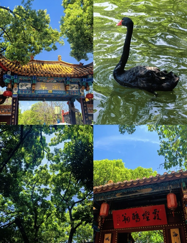 Green Lake Park Photography Spots: 7 Best Locations & Tips