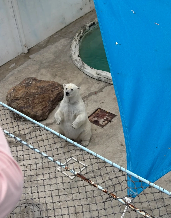 Dalian Zoo booking Dalian Zoo booking