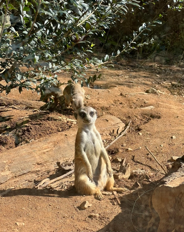 Kunming wildlife park Kunming wildlife park