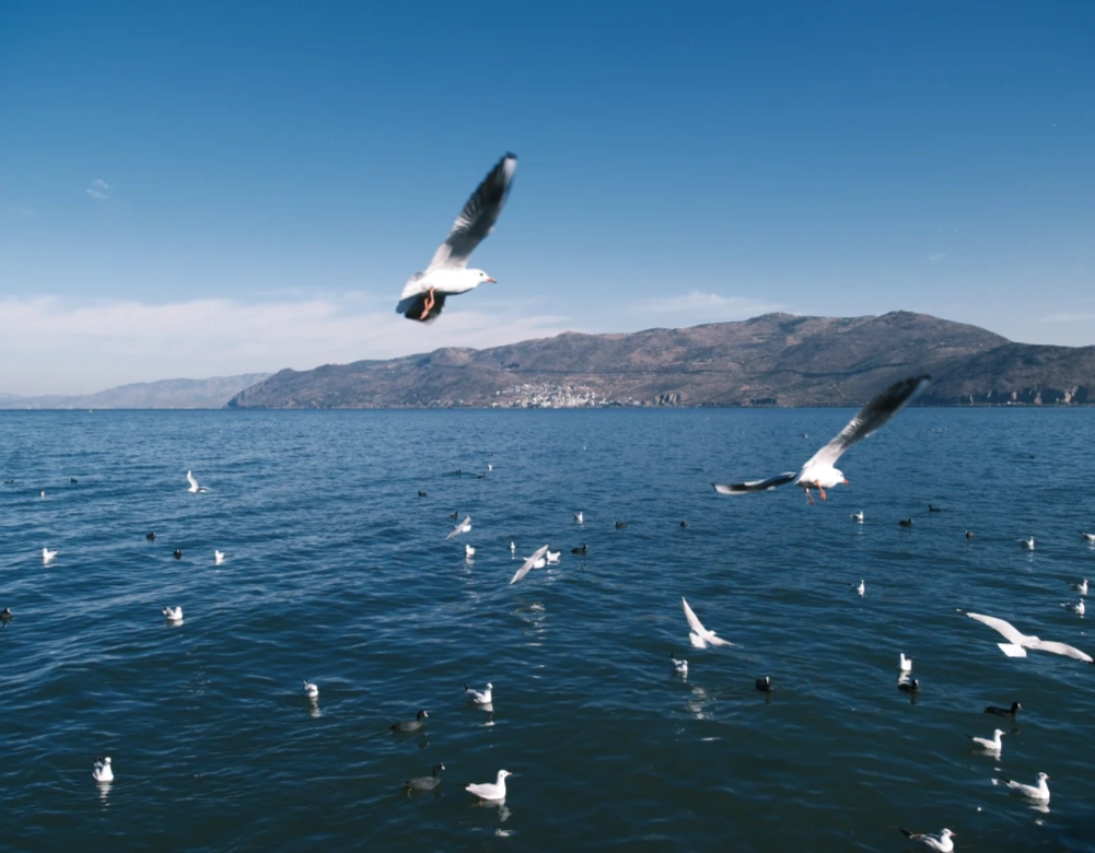 Erhai Lake travel tips Erhai Lake travel tips