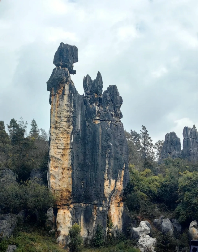 Stone Forest Scenic Area Opening Hours: Avoid Crowds & Plan Your Visit