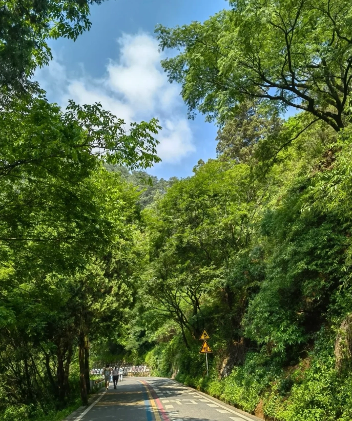 Western Hills Kunming transportation Western Hills Kunming transportation