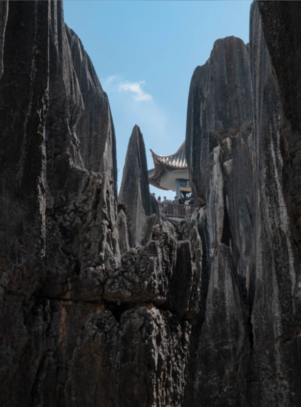 best route in Stone Forest