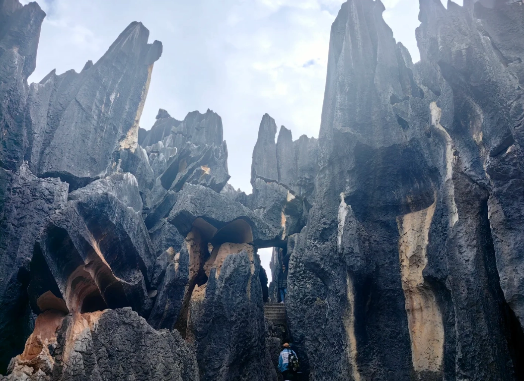 Stone Forest ticket booking Stone Forest ticket booking