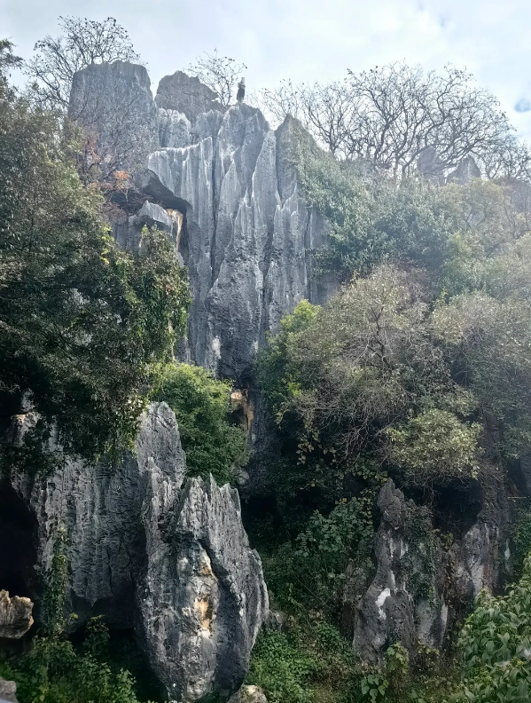 Stone Forest best time to visit Stone Forest best time to visit