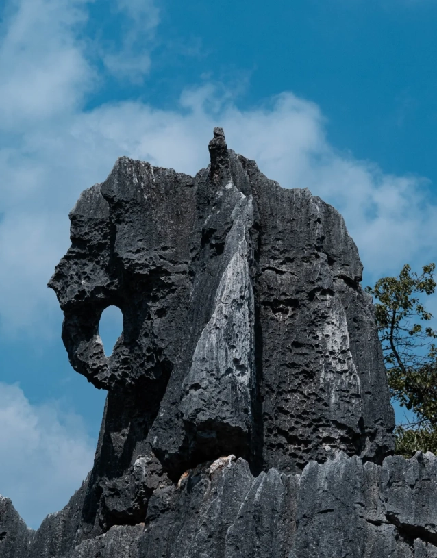 Stone Forest Scenic Area Map: Navigate Like a Local