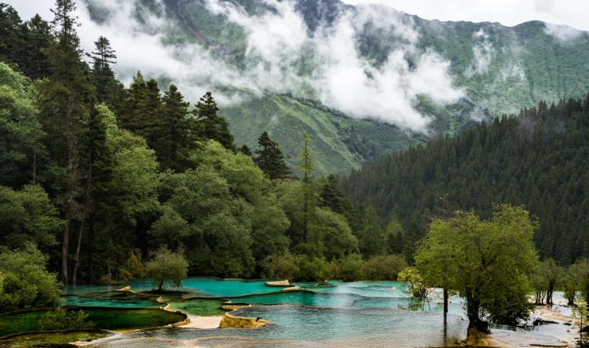 Huanglong ticket price 2025 Huanglong ticket price 2025