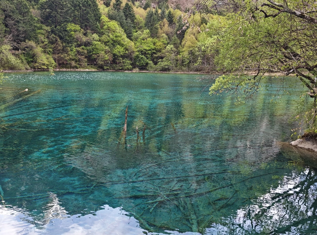 Jiuzhaigou accommodation Jiuzhaigou accommodation