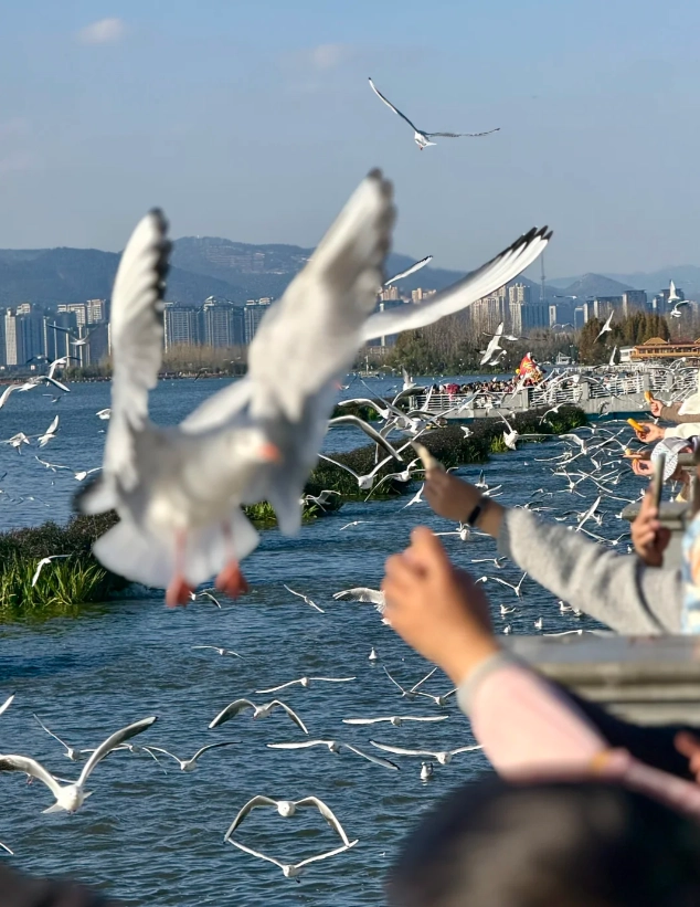 Dianchi Lake from Kunming