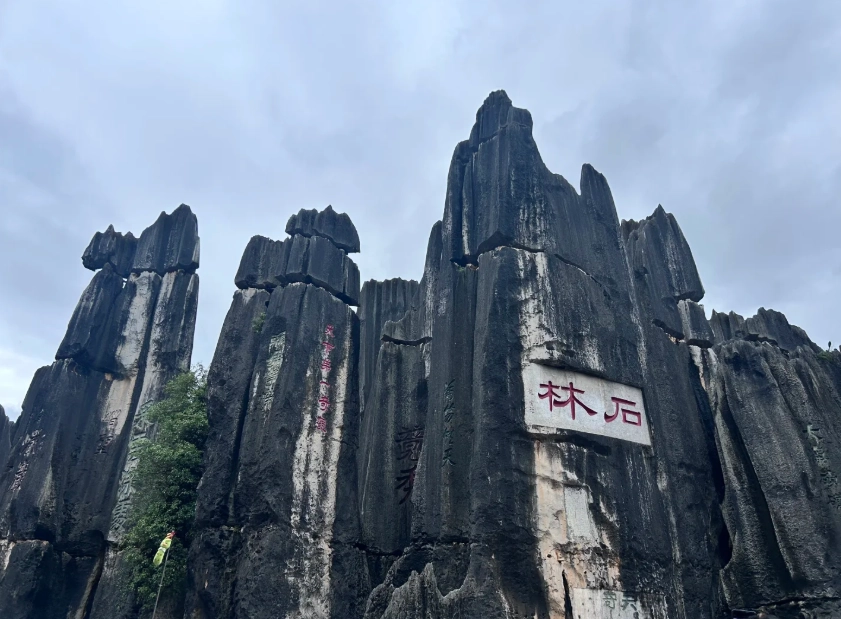 Stone Forest Scenic Area: English Guide for First-Timers