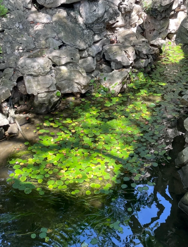 Yu Garden spring vs autumn Yu Garden spring vs autumn