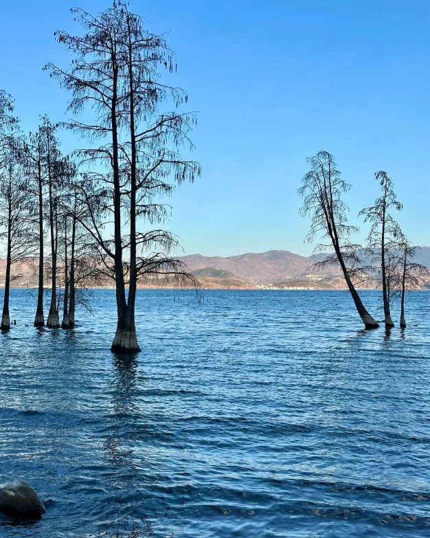 Best Time to Visit Erhai Lake: Skip the Crowds and Rain