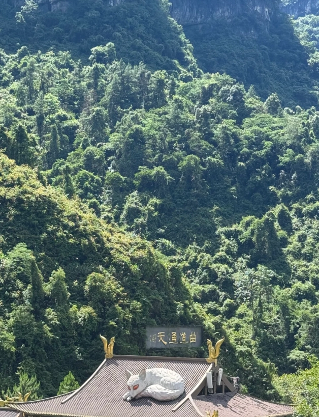 Zhangjiajie travel tips