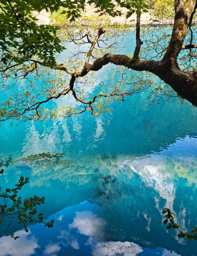 Jiuzhaigou National Park Multi-Day Tour: Avoid Crowds & Save Money