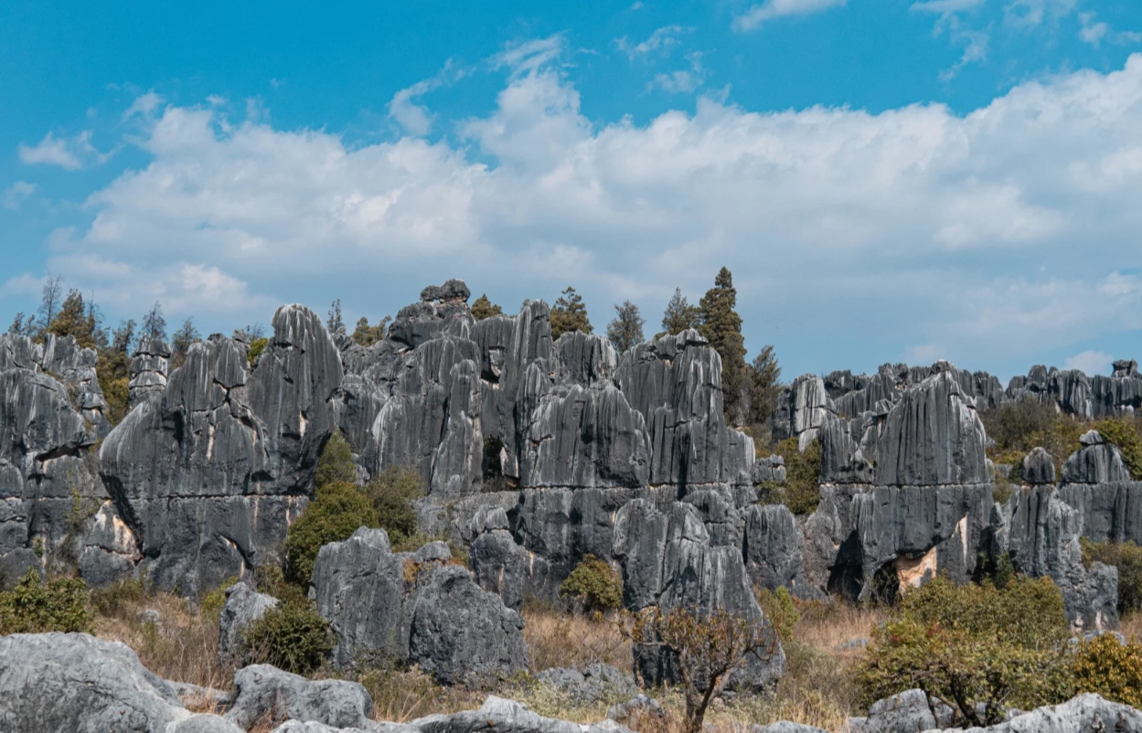 Stone Forest ticket prices 2025
