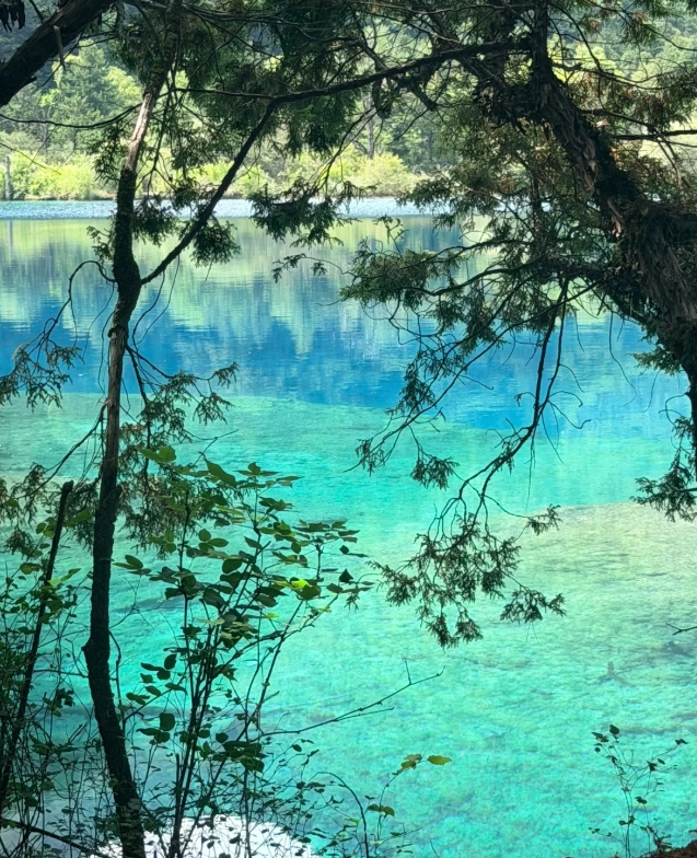 Jiuzhaigou best time Jiuzhaigou best time