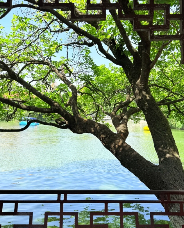when to visit Green Lake Park when to visit Green Lake Park