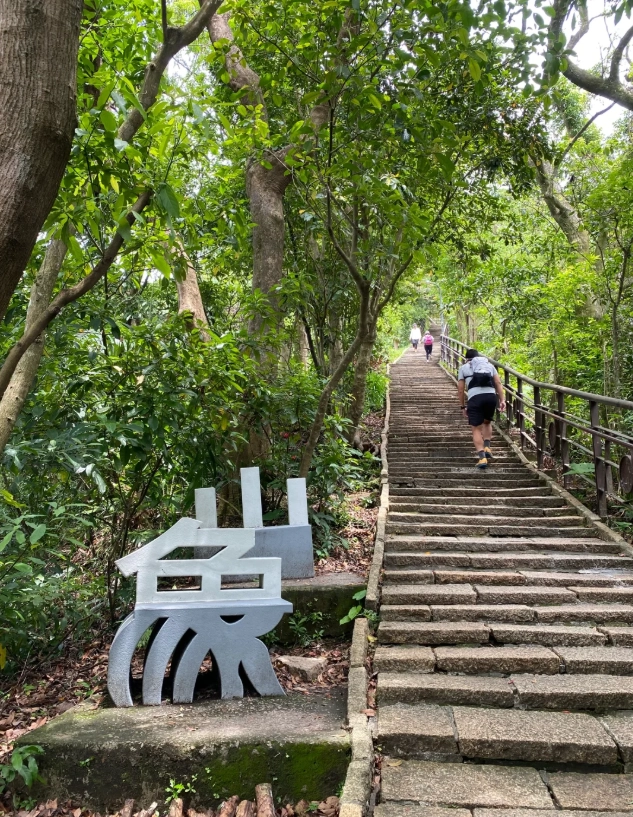 elephant mountain taipei elephant mountain taipei