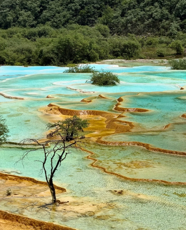 Huanglong Guided Tour: Secret Routes & Money-Saving Hacks