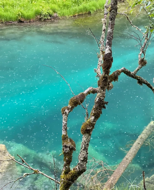 Jiuzhaigou Photography Spots: 7 Hidden Locations to Avoid Crowds