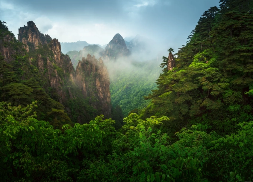 Yellow Mountain Day Trip: Beat the Crowds with Insider Tips
