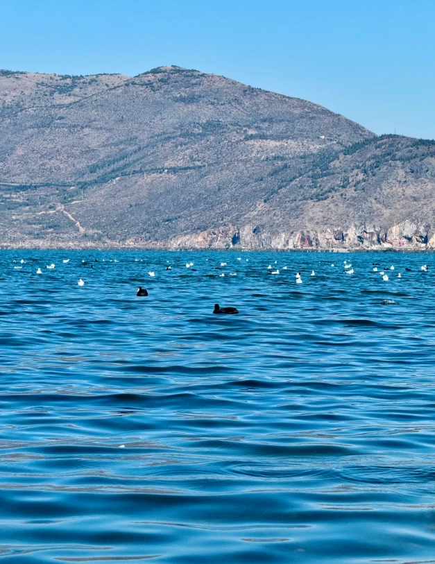 Erhai Lake Photography Spots: 5 Secret Locations for Stunning Shots