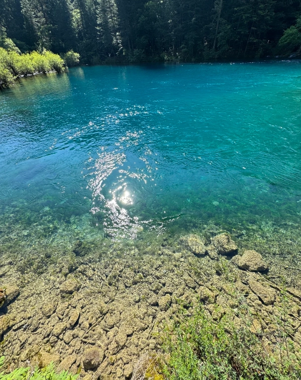 how to visit jiuzhaigou national park