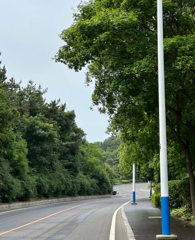 Binhai Road scenic drive: Insider tips for the perfect coastal road trip