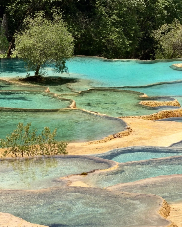 Huanglong scenic area guided tour Huanglong scenic area guided tour
