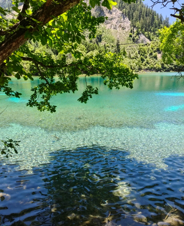 best photo spots Jiuzhaigou best photo spots Jiuzhaigou